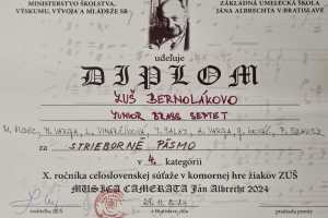 15 Musica Camerata JA 2024 11 29 Roman Hudec