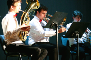 37 Koncert komornych zoskupeni 2025 03 16 P Trnka