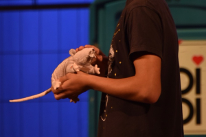 noc-divadiel-2023-dobrodruzstvo-nadovsetko-roman-artim-DSC 8606